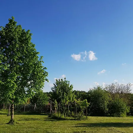 Les Zygotes, Au Coeur Du Perigord Noir Vila Plazac Exterior foto